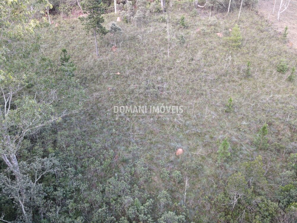 Terreno, 3590 m² - Foto 7