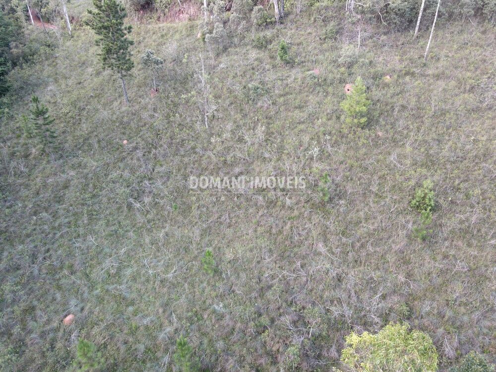 Terreno, 3590 m² - Foto 8