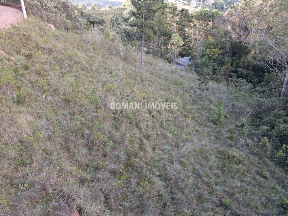 Terreno, 3590 m² - Foto 4