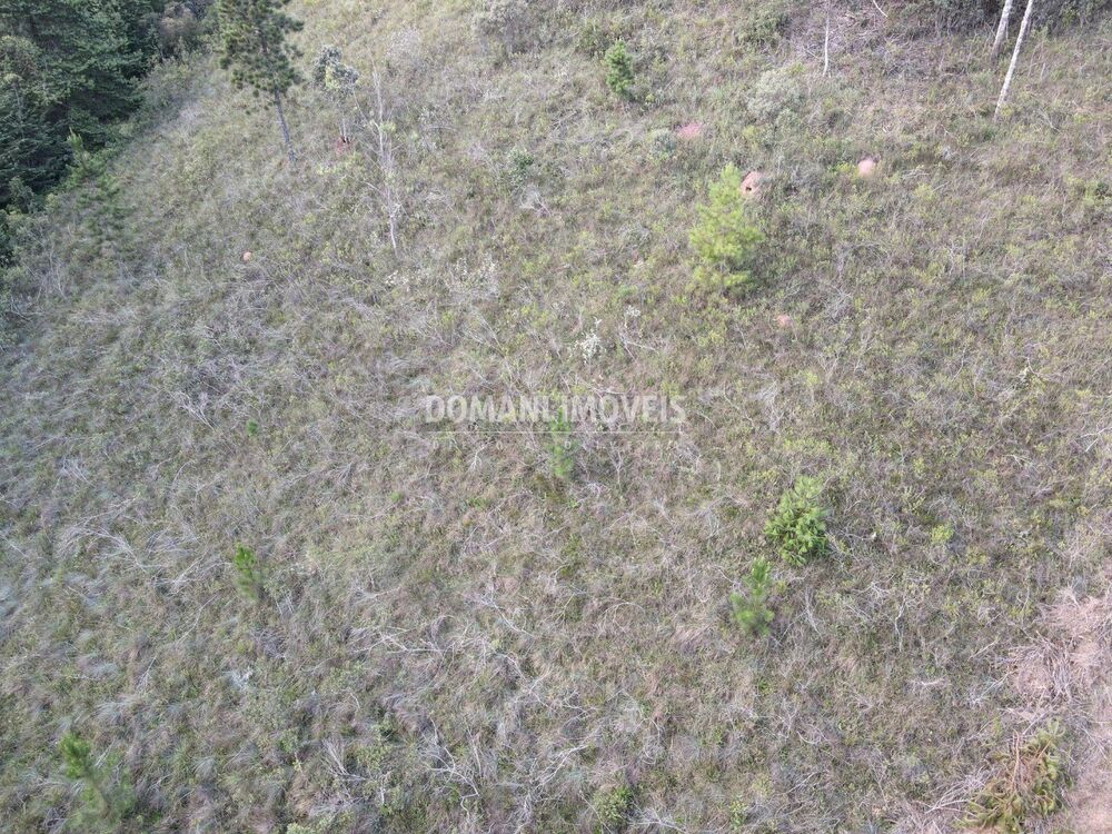 Terreno, 3590 m² - Foto 6