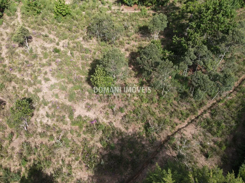 Terreno, 1480 m² - Foto 7