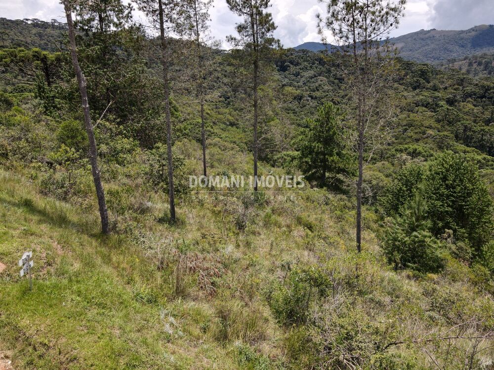 Terreno à venda, 1370m² - Foto 6