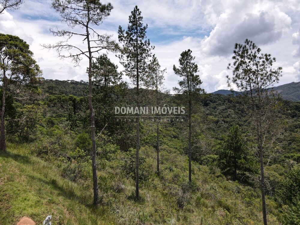 Terreno à venda, 1370m² - Foto 8
