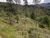 Terreno, 1370 m² - Foto 6