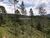 Terreno, 1370 m² - Foto 8