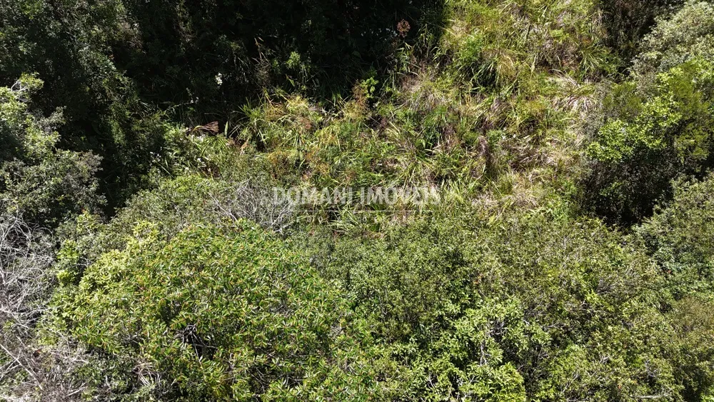 Terreno, 1120 m² - Foto 5