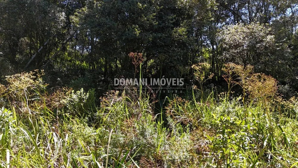 Terreno, 1120 m² - Foto 4