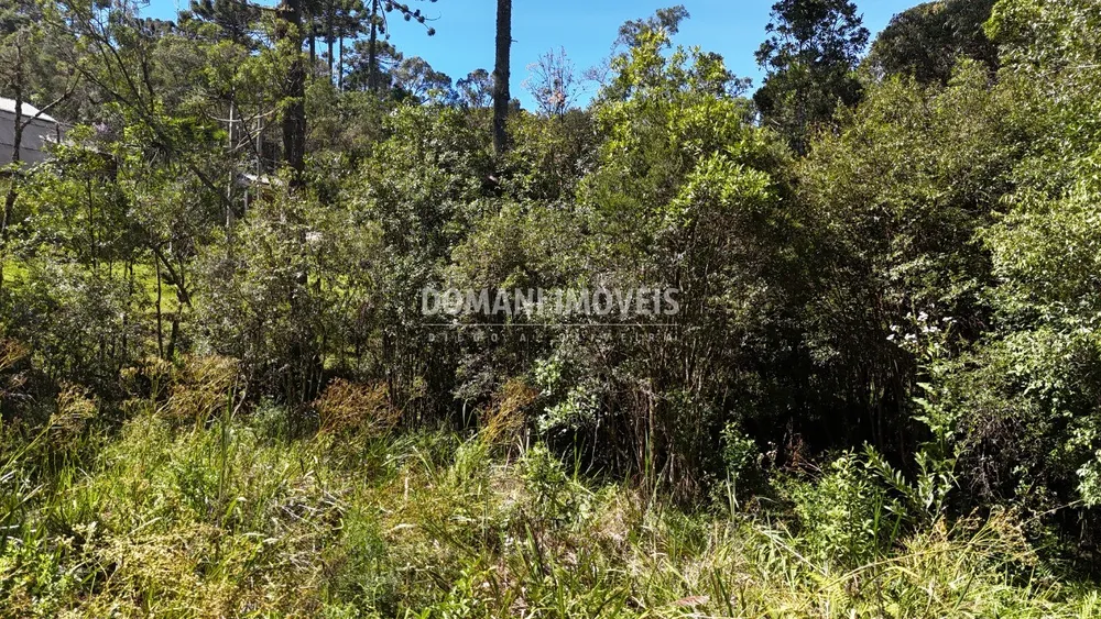 Terreno, 1120 m² - Foto 6