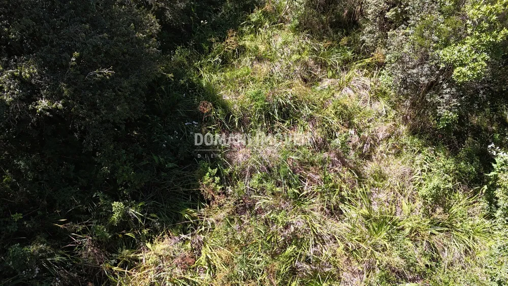 Terreno, 1120 m² - Foto 3