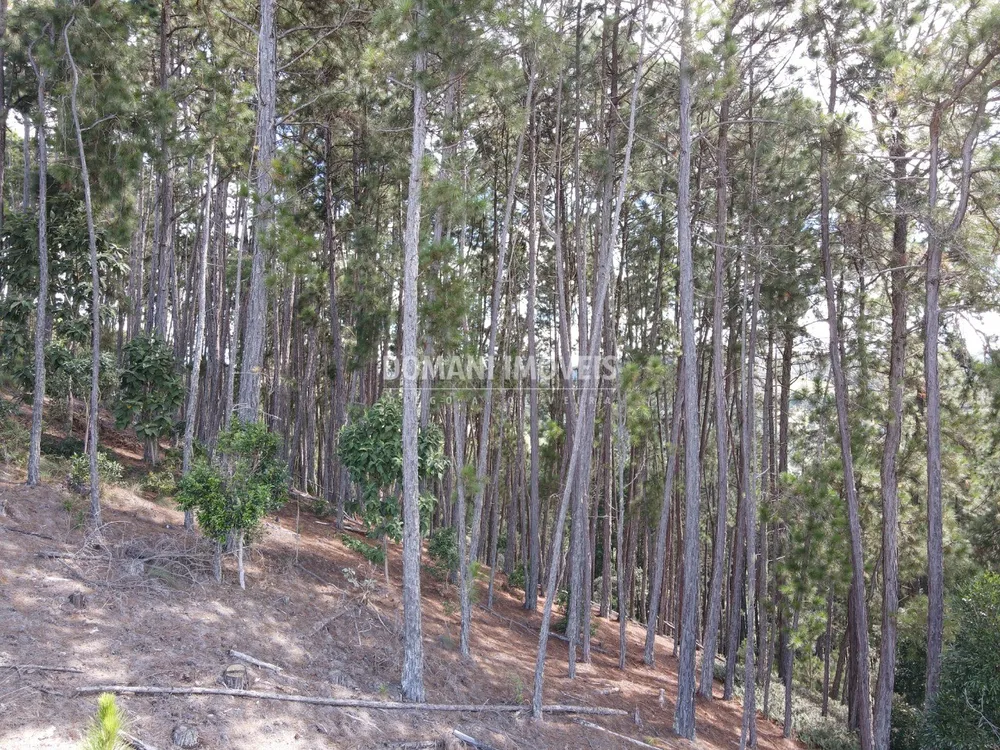 Terreno, 1800 m² - Foto 8