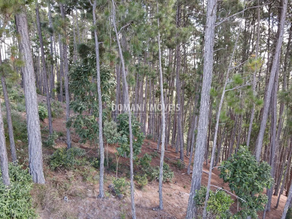 Terreno, 1800 m² - Foto 10
