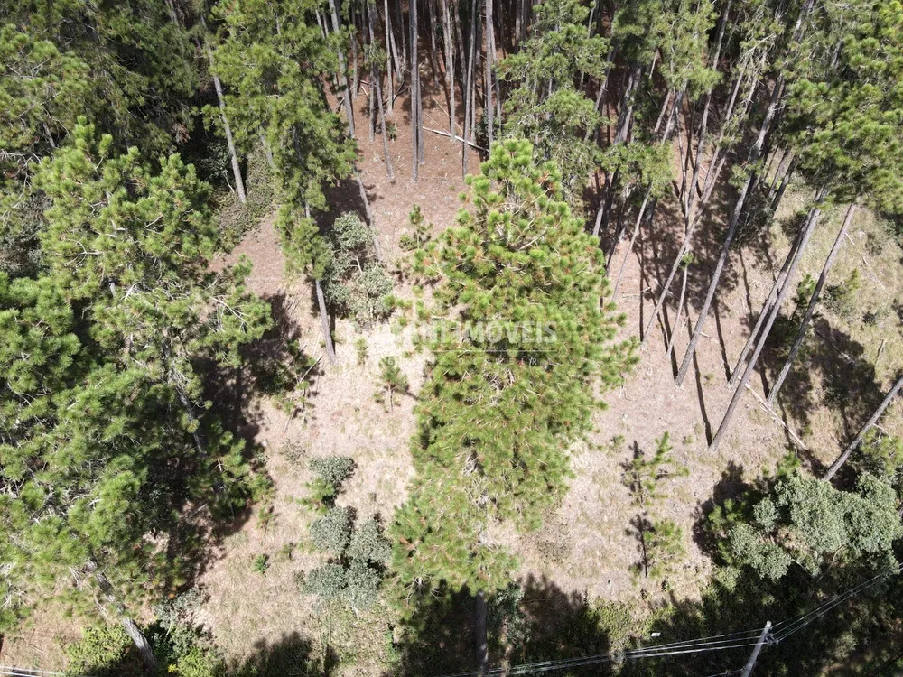 Terreno, 1800 m² - Foto 12