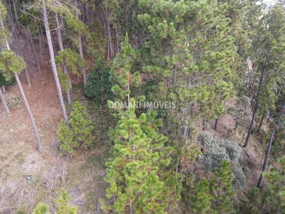 Terreno, 1800 m² - Foto 11