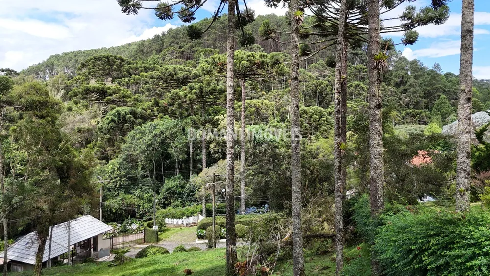 Terreno, 1065 m² - Foto 5