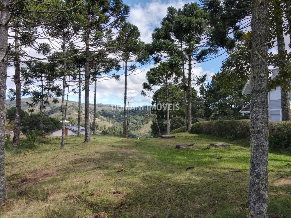 Terreno, 2420 m² - Foto 3