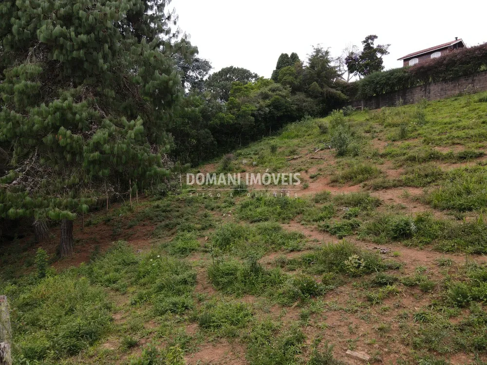 Terreno, 1050 m² - Foto 7