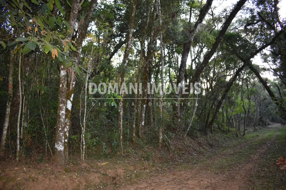 Terreno, 1100 m² - Foto 10