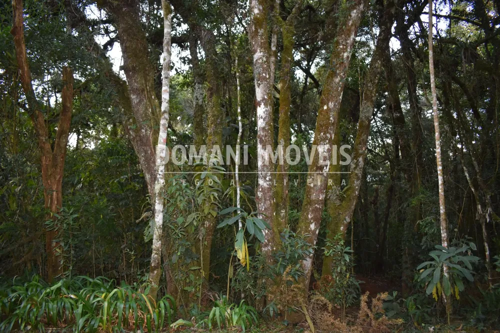Terreno, 1100 m² - Foto 12