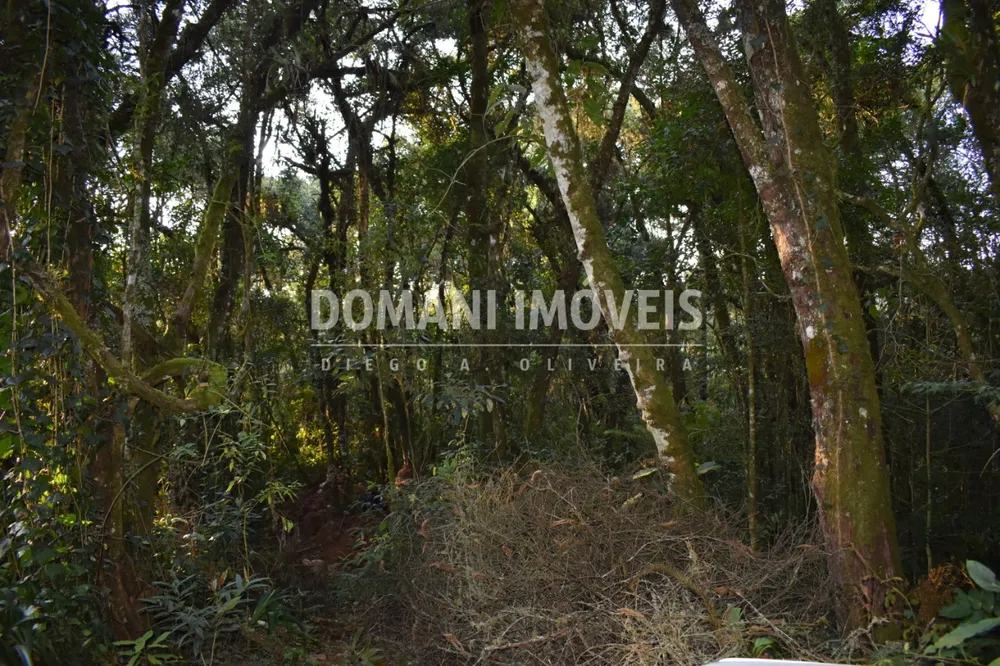 Terreno, 1100 m² - Foto 9