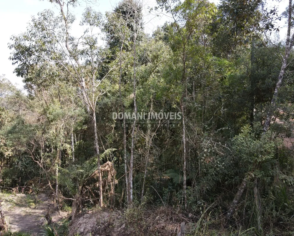 Terreno, 7780 m² - Foto 6