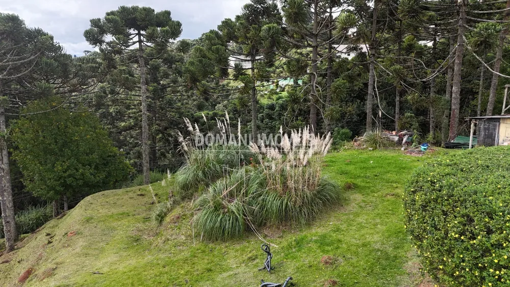 Terreno, 1235 m² - Foto 6