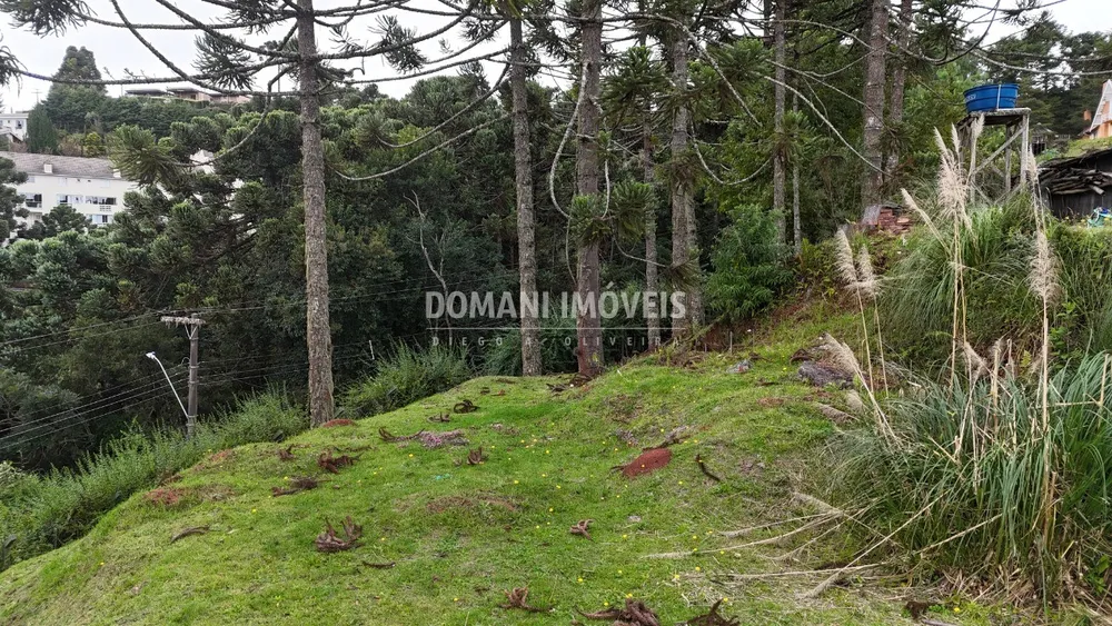 Terreno, 1235 m² - Foto 2