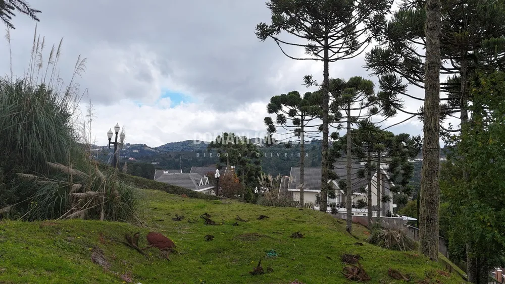 Terreno, 1235 m² - Foto 1