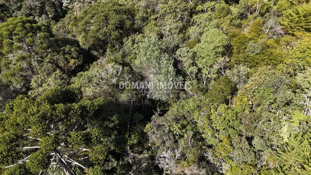 Terreno, 2570 m² - Foto 9