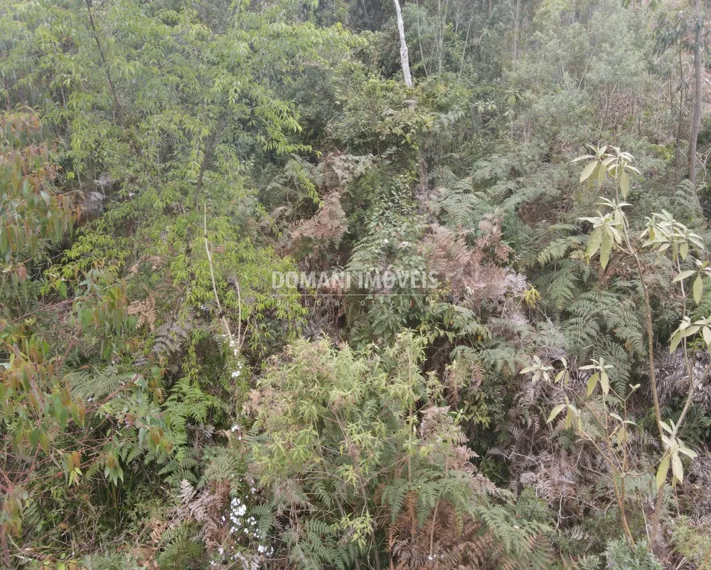 Terreno, 1150 m² - Foto 4