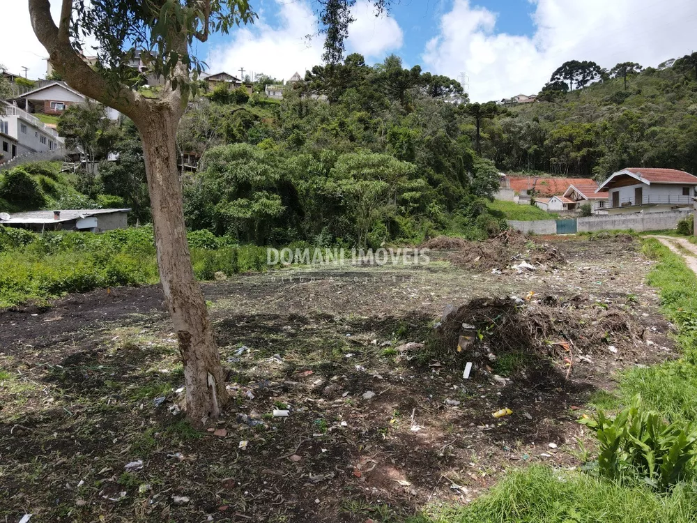 Terreno à venda, 1200m² - Foto 1