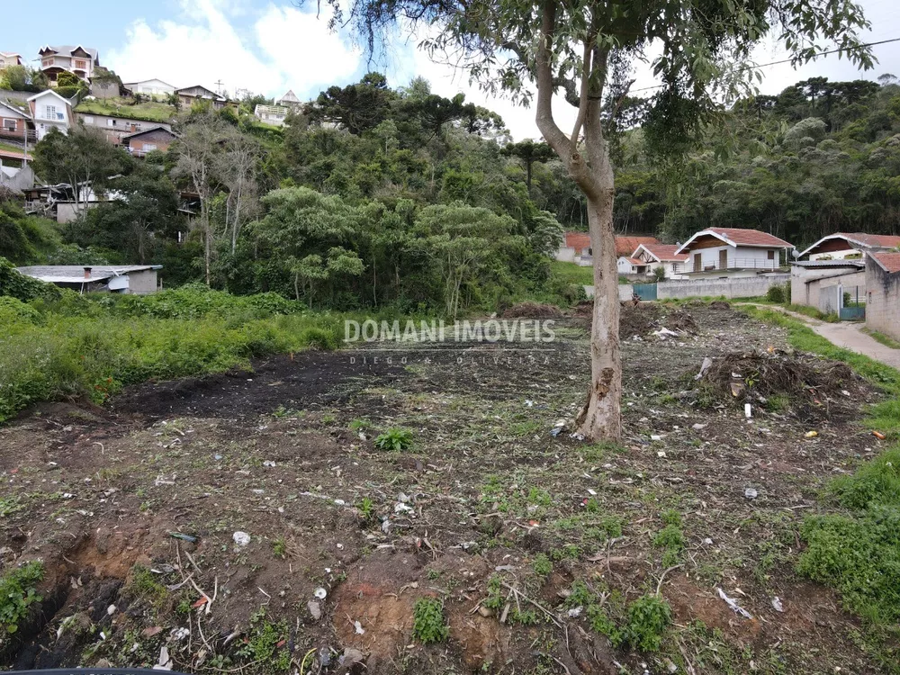 Terreno à venda, 1200m² - Foto 3