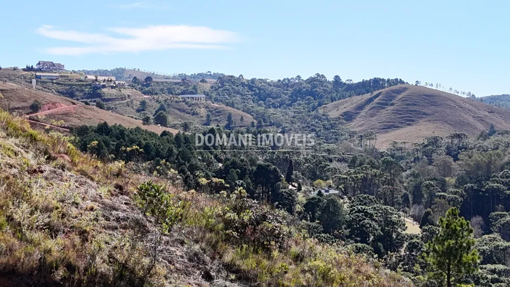 Terreno, 2153 m² - Foto 4