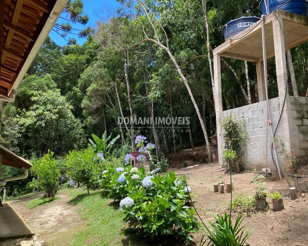 Casa à venda e aluguel com 3 quartos - Foto 3