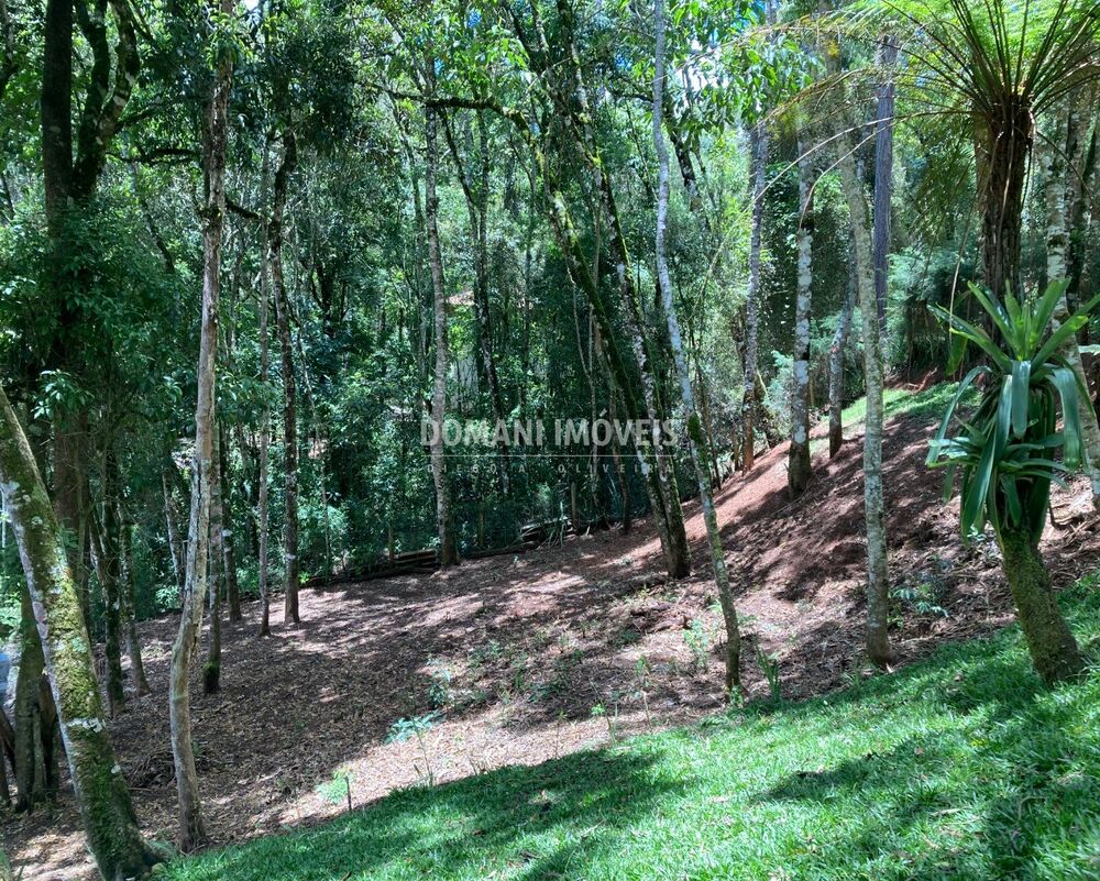 Casa à venda e aluguel com 3 quartos - Foto 4