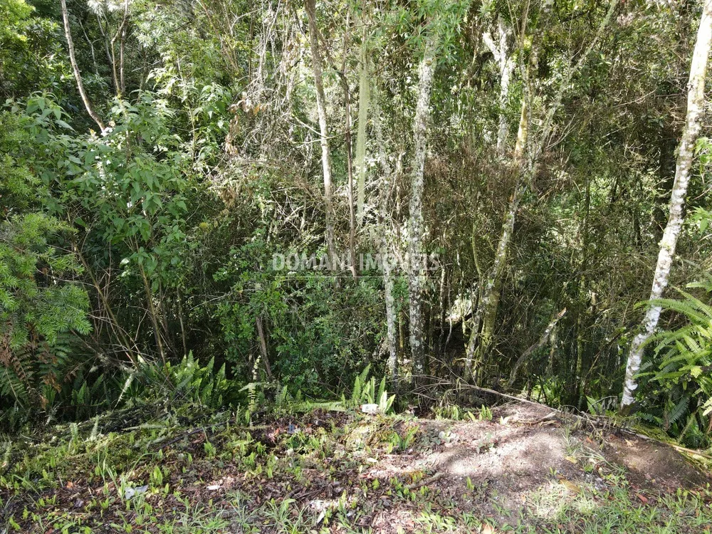 Terreno, 1120 m² - Foto 6