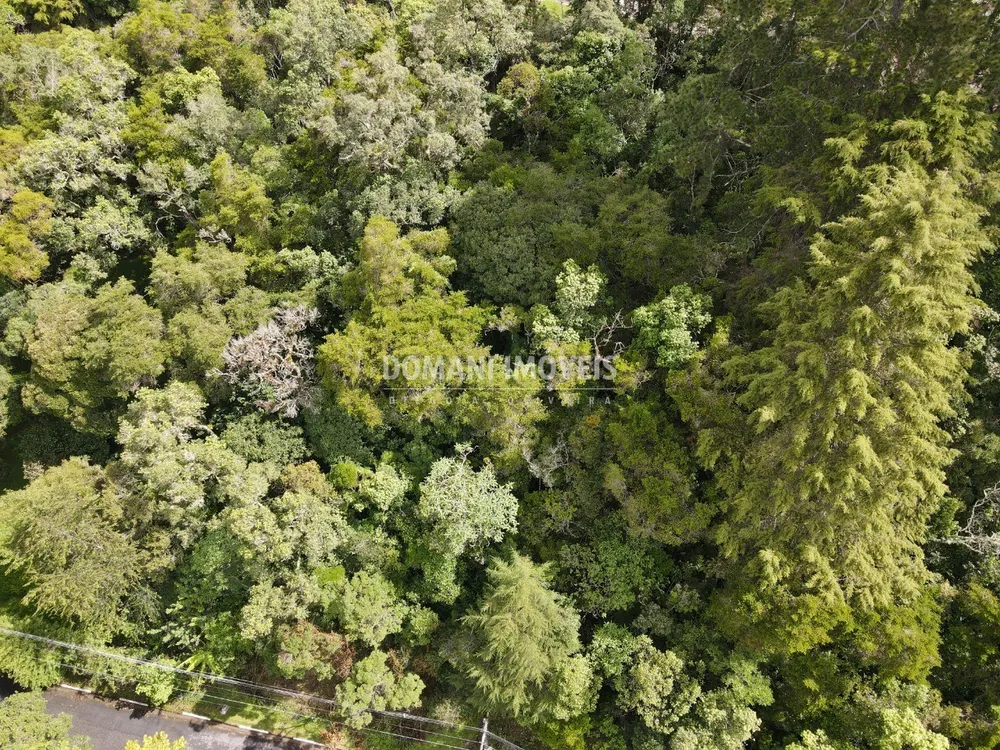 Terreno, 1120 m² - Foto 3