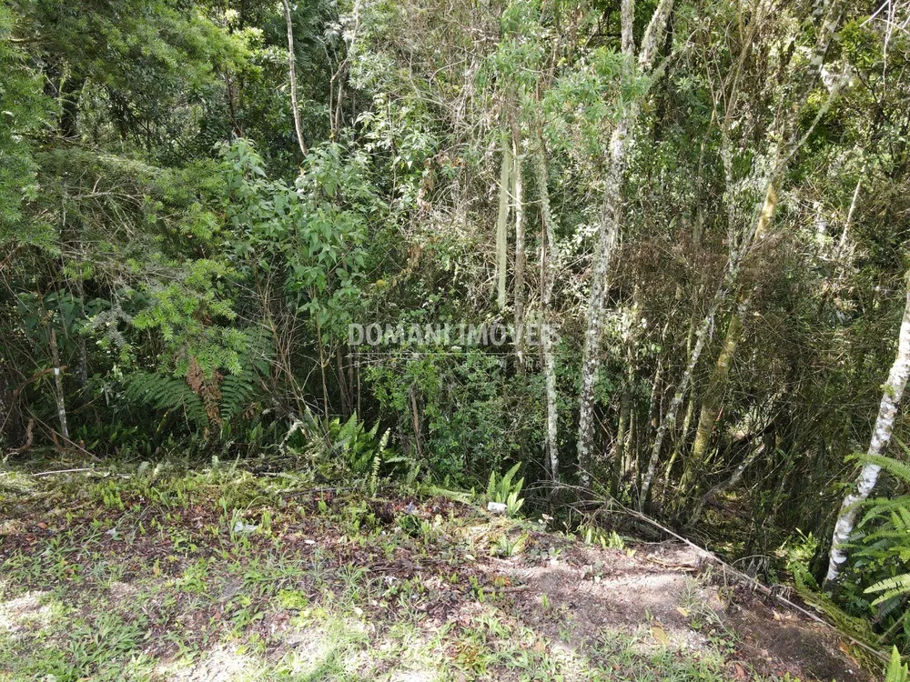 Terreno, 1120 m² - Foto 5