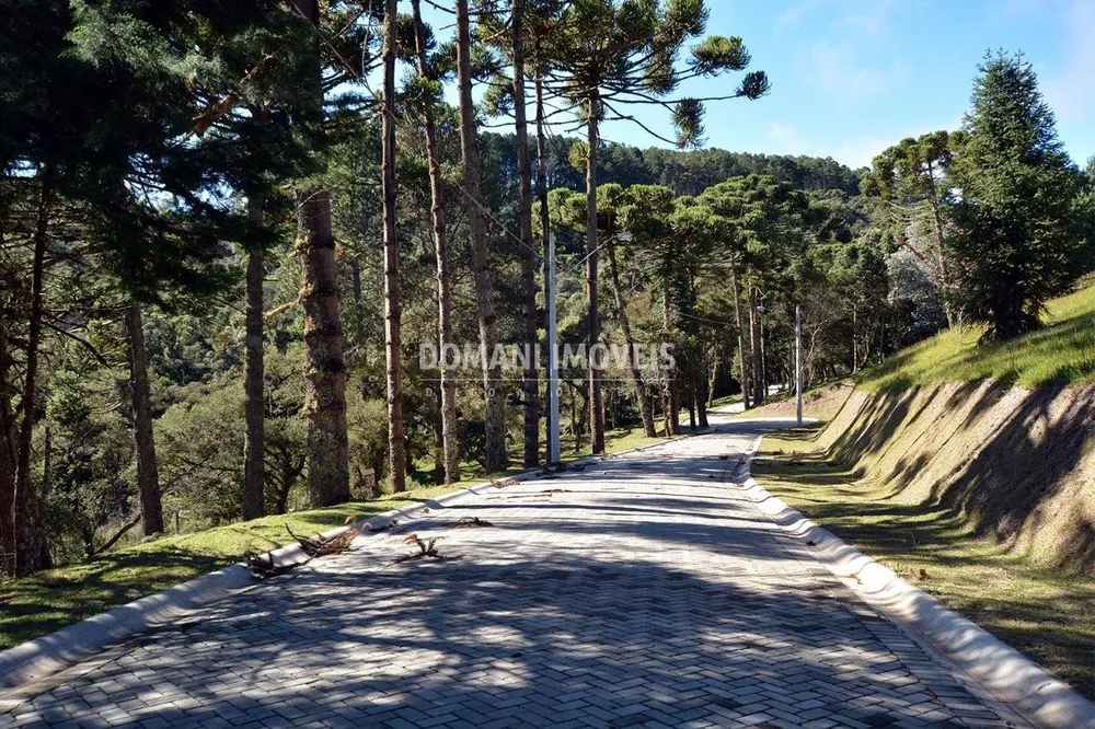 Terreno, 1300 m² - Foto 7