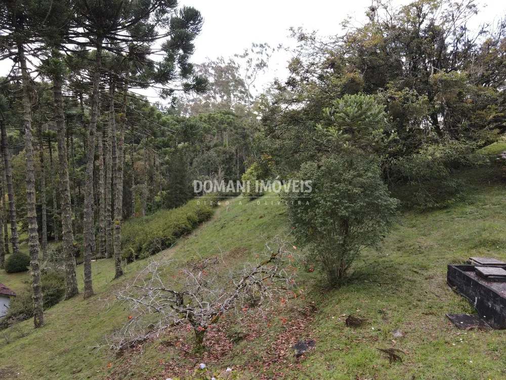 Terreno, 1300 m² - Foto 5