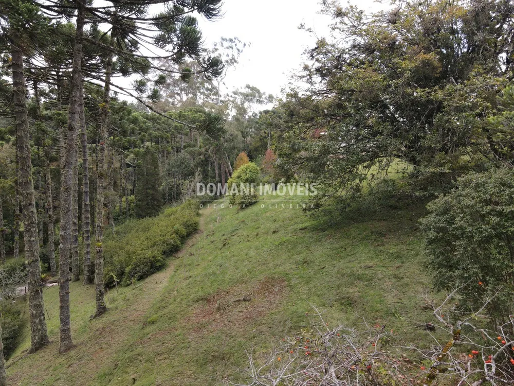 Terreno, 1300 m² - Foto 4