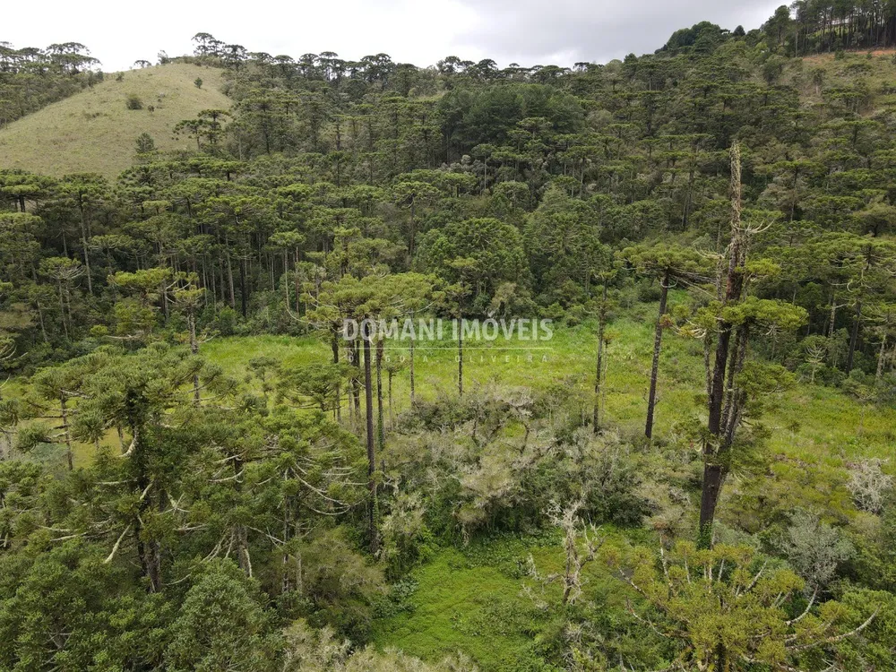 Terreno, 2 hectares - Foto 7