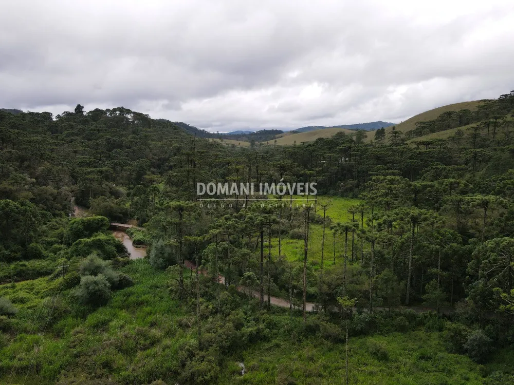 Terreno, 2 hectares - Foto 3