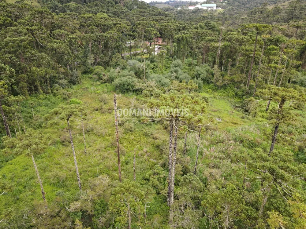 Terreno, 2 hectares - Foto 8