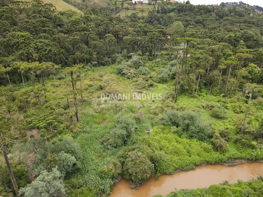 Terreno, 2 hectares - Foto 1