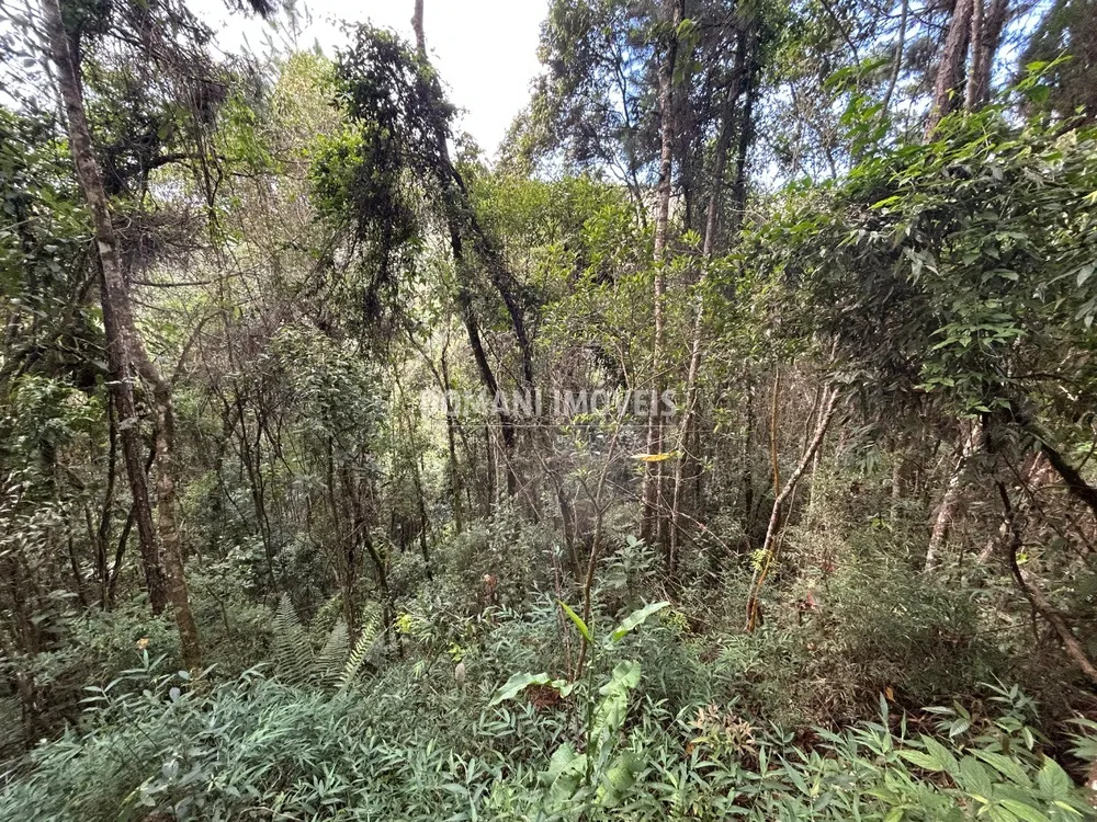 Terreno, 5820 m² - Foto 1