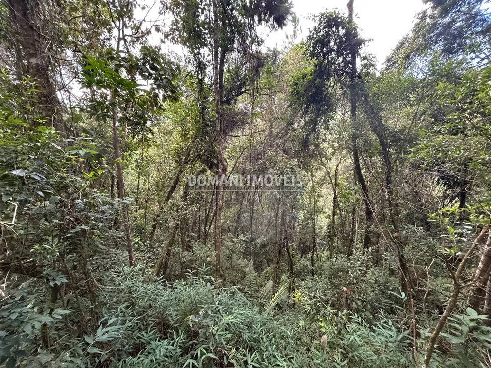 Terreno, 5820 m² - Foto 4