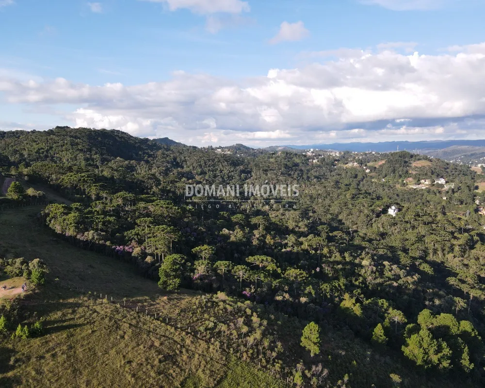 Terreno - Foto 4