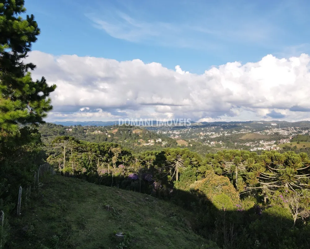 Terreno - Foto 1