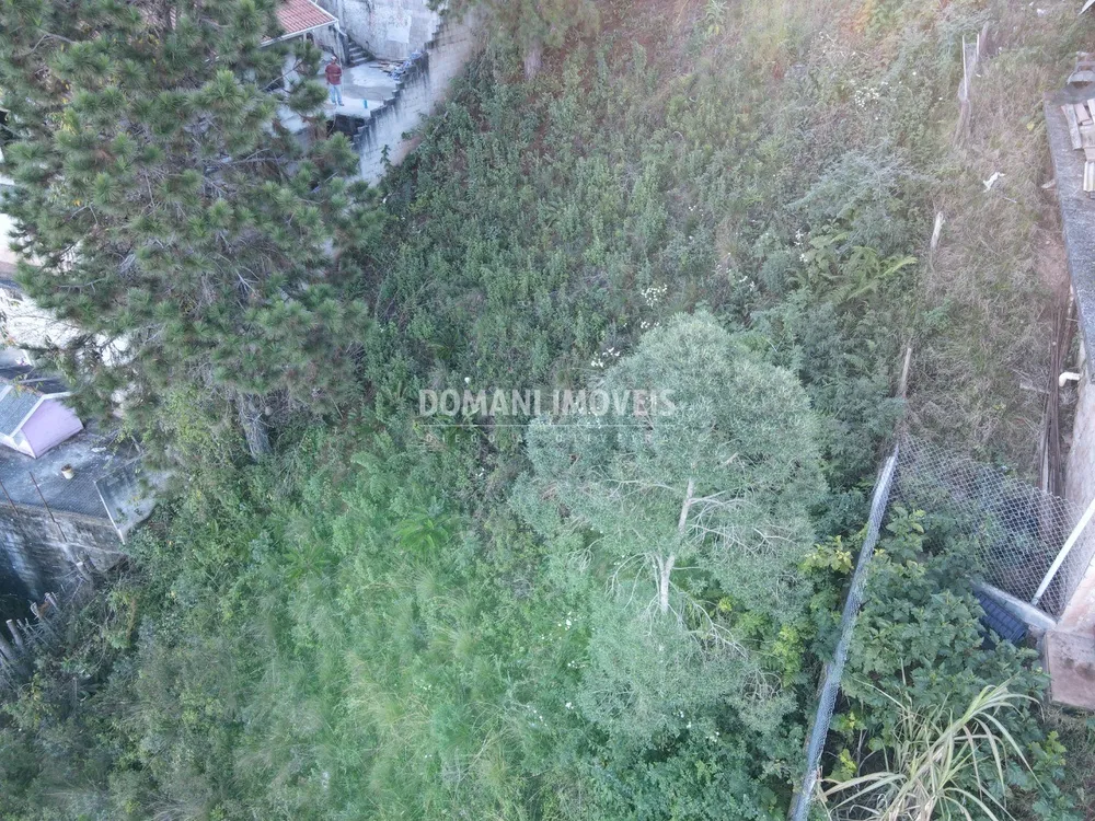 Terreno, 310 m² - Foto 3