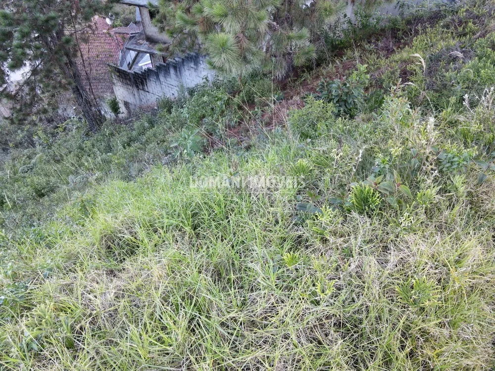 Terreno, 310 m² - Foto 2